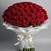 Букет 101 Красная роза Блэк Мэджик в Брюховецкой