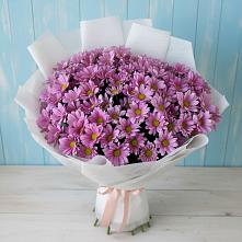 Букет цветов из:  Хризантемы в Брюховецкой