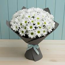 Букет цветов из:  Хризантемы в Брюховецкой