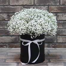 Цветочная композиция из Гипсофила в шляпной коробке #REPLACE_PRED# Брюховецкой